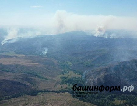 В Башкортостане продолжают действовать 9 очагов природных пожаров на площади 1477 га