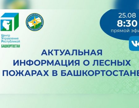 В Башкортостане ЦУР и ГК ЧС запускают серию стримов с актуальной информацией о лесных пожарах
