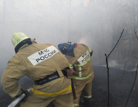 В Башкортостане продолжают действовать 16 очагов природных пожаров на общей площади 1471 га
