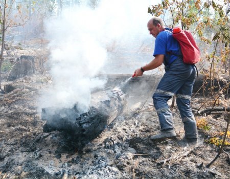 В Башкортостане пожар на горе Мраткино тушат более 800 человек