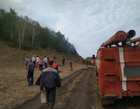 В Башкортостане горит трава на шихане Юрактау в Стерлитамакском районе