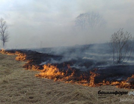 Природные пожары не отступают: в Баймакском районе горит сухая трава