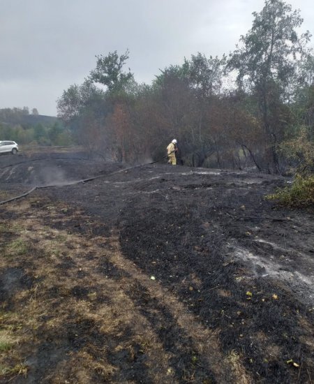 В Кугарчинском районе Башкортостана разгорелся пожар площадью 61 га