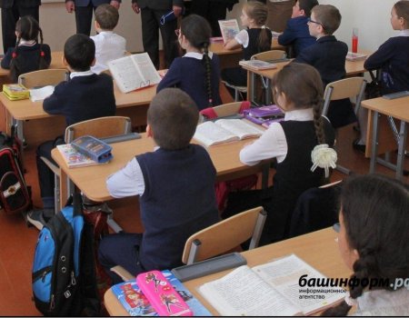 В Башкортостане увеличилось число инфицированных COVID-19 учителей и школьников