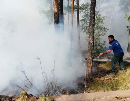 В Башкортостане осталось два действующих лесных пожара
