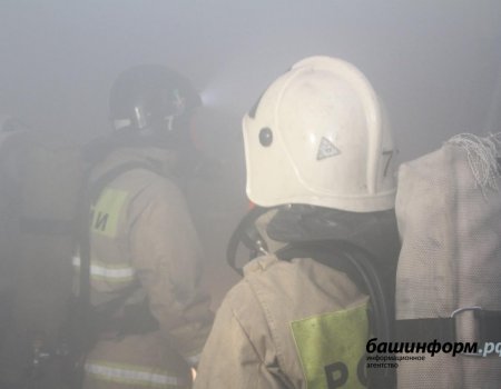 В Башкортостане при пожаре в садовом доме погиб 50-летний мужчина