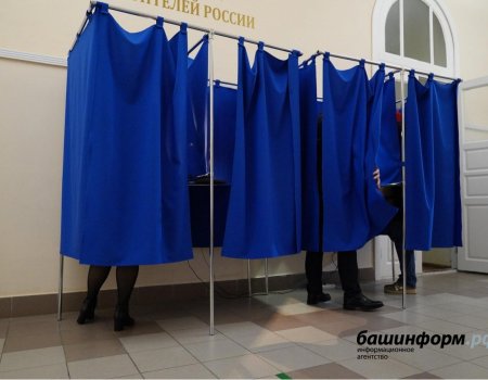 В ЦИК Башкортостана рассказали об обращениях и жалобах от избирателей