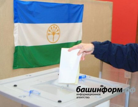 Явка на выборах в Башкортостане на 20% превысила среднюю по стране
