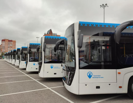 60 новых автобусов вышли на самые востребованные уфимские маршруты