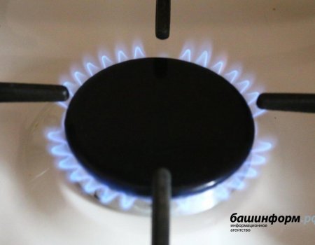 В Башкортостане до 2025 года смогут бесплатно провести газ 200 тыс. домохозяйств
