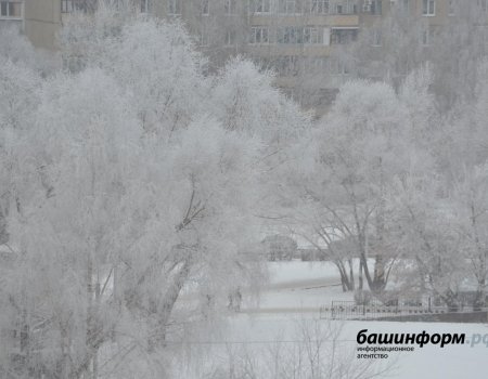 Гидрометцентр сообщил, какая погода будет в Уфе предстоящей зимой