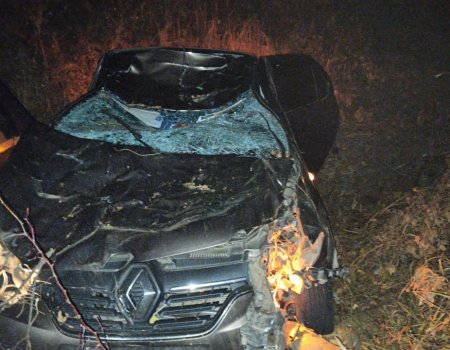 В Дюртюлинском районе водитель и пассажир иномарки погибли при столкновении с лосем