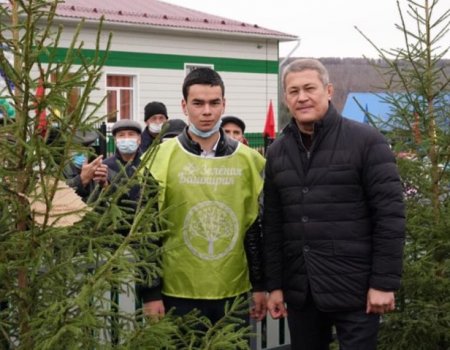 В этом году мы посадили 2 млн сеянцев лесных растений - Глава Башкортостана