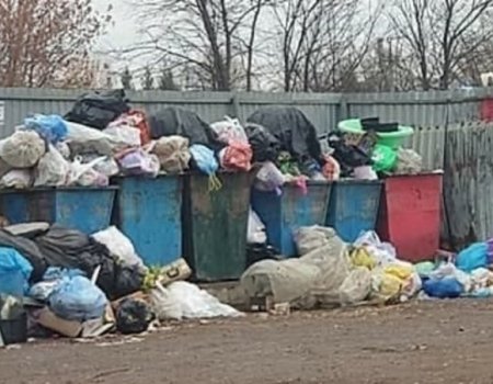 В нескольких поселках под Уфой по запросам жителей установят дополнительно мусорные площадки