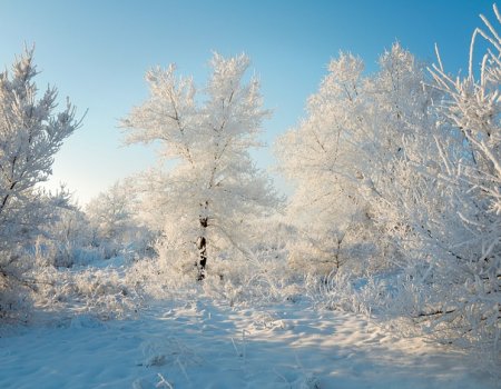 В ближайшие три дня в Башкортостане ожидается понижение температуры до -18