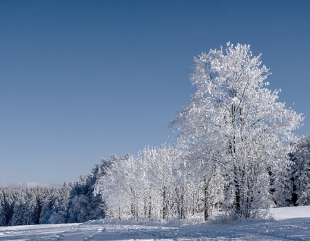 К концу недели в Башкортостан придет зима, установится снежный покров
