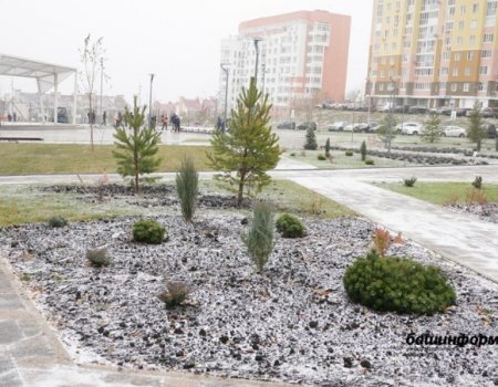 Депутаты предложили присвоить имя народного поэта Башкирии Равиля Бикбаева парку Южный в Уфе