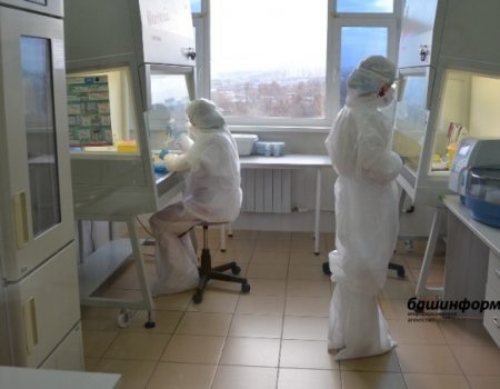 В Башкортостане за сутки жертвами коронавируса стали еще 36 пациентов