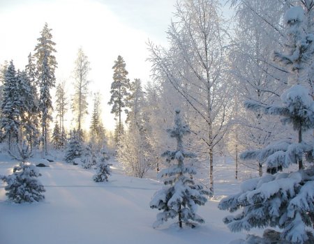 В предстоящие выходные в Башкортостане температура воздуха опустится до - 20-23 градусов