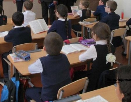 Всероссийские проверочные работы для школьников 4-8 классов пройдут весной