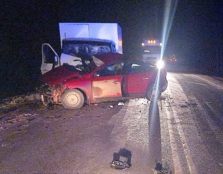 В Башкортостане во встречном ДТП с грузовиком погибли два человека из Renault Fluence