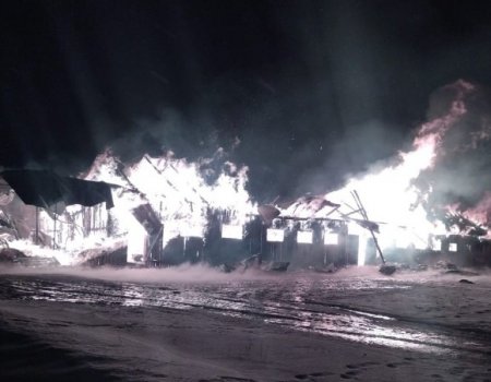 В Башкортостане при пожаре на ферме погибли 12 голов крупного рогатого скота и две лошади