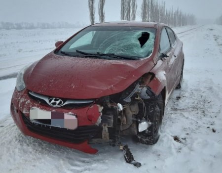 В Башкортостане водитель на Hyundai Elantra сбил женщину с дочерью: пенсионерка скончалась