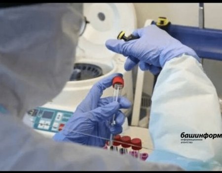 В Башкортостане увеличилось число заболевших штаммом коронавируса «омикрон»