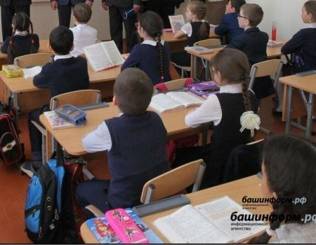 В Башкортостане создают электронный профиль каждого школьника и педагога