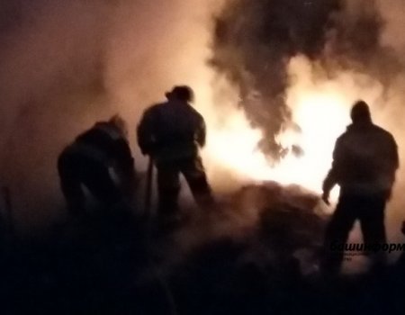 В Башкортостане выиграли «войну» со смертельными пожарами, но проиграли с гибелью людей в ДТП