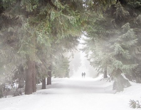 В Башкортостане прогнозируются туман, снежный накат и гололедица