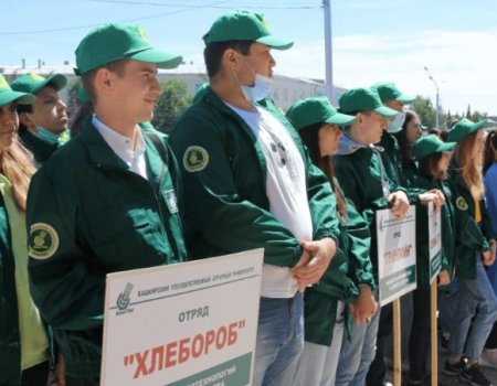 53 молодых специалиста сельского хозяйства Башкортостана получат более 30 млн рублей «подъёмных»