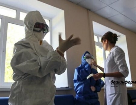 Эксперты назвали сроки роста и спада заболеваемости коронавирусом в России