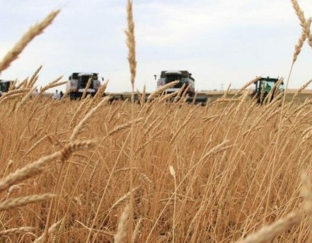 В Башкортостане проекты фермеров по программе «Агростартап» получат 125,4 млн рублей господдержки
