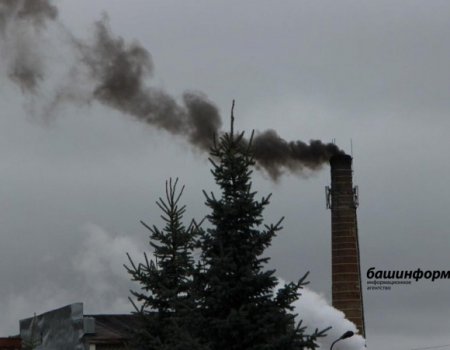 В Минэкологии Башкортостана сообщили, чем загрязнен атмосферный воздух в Салавате и Стерлитамаке