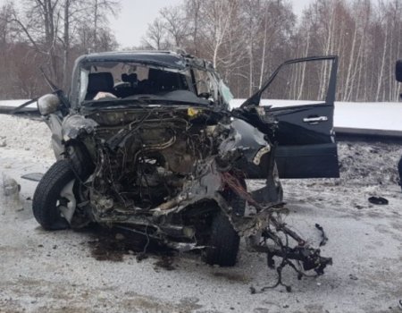 В Башкортостане в ДТП с грузовиком погиб водитель кроссовера: движение на участке трассы М-5 затруднено