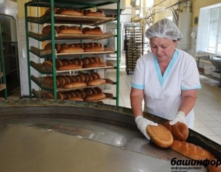 Башкортостан будет поддерживать производителей хлеба за счет субсидий Минсельхоза России
