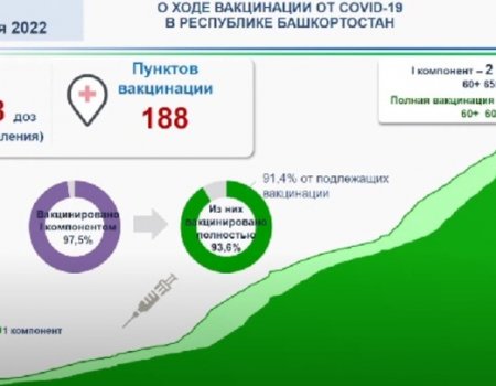 В Башкортостане 94% пациентов с COVID-19 переносят болезнь в легкой форме - Максим Забелин