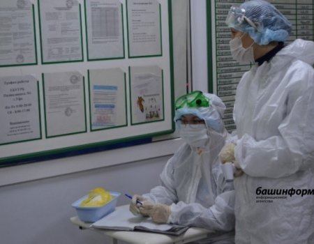В Башкортостане количество заболевших COVID-19 превысило 225 тысяч человек