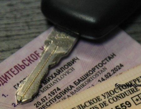 В России с 1 марта изменились правила выдачи водительских удостоверений
