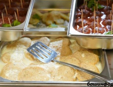 Общественная палата Башкортостана проводит внеплановые проверки питания в школах