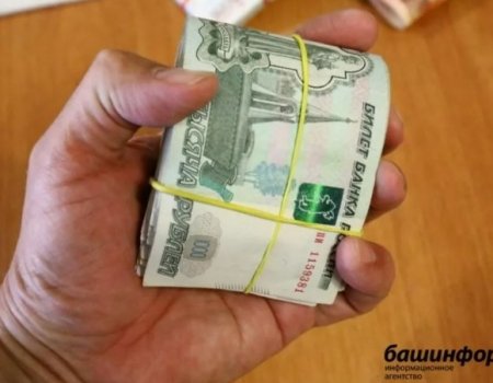 В Башкортостане сотрудники колледжа присвоили 23,8 млн рублей, предназначенных для детей-сирот