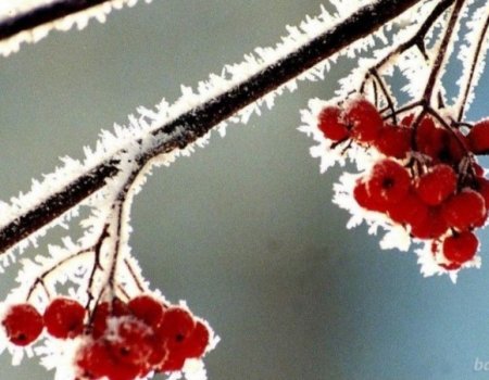 На следующей неделе в Башкортостане сохранится морозная погода