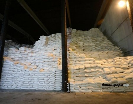 Цена на сахар упадет, ажиотаж вокруг него создан искусственно: вице - премьер Ильшат Фазрахманов