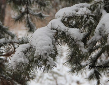 Туман, гололедица и -20 градусов: МЧС по Башкортостану предупреждает о неблагоприятной погоде