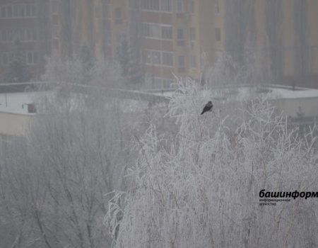 В Башкортостане прогнозируется похолодание до -22 градусов
