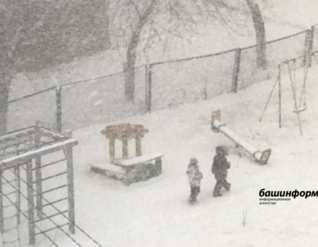 МЧС по Башкортостану предупреждает о порывистом ветре и мокром снеге