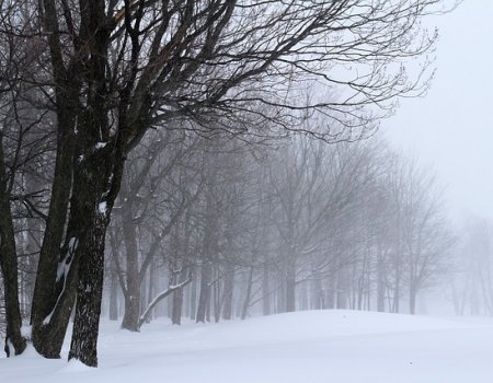МЧС по Башкортостану предупреждает об ураганном ветре и мокром снеге