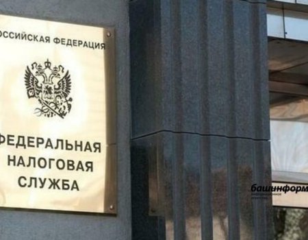 Жителей Башкортостана научат правильно заполнять налоговые декларации