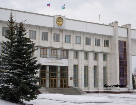 В Башкортостане принят предложенный Радием Хабировым закон о выплатах семьям погибших военнослужащих